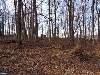 0 Woodland Dr Unit 1003184488, New Providence, PA 17560