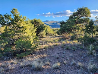 580 Kit Carson Rd, Alpine, CO 81154