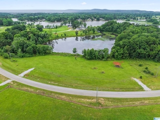 242 Lokey Dr Unit 21, Wilsonville, AL 35186