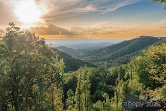 32 Timberwolf Ct, Asheville, NC 28804