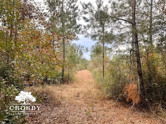 0 Possum Point Rd, Townsend, GA 31331