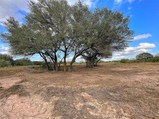 Tract 1 Hwy 71 South Cr 102, Columbus, TX 78934