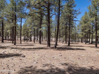 6898 N Sanderson Pass Rd, Parks Comm Po, AZ 86018
