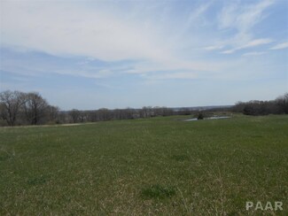 000 Rr, Wenona, IL 62626