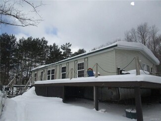 4542 Riceville Rd, West Valley, NY 14171