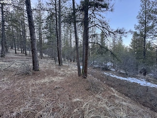 0 Bobcat Cir Unit Lot 7 468719120, Beatty, OR 97621