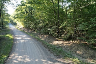 Lot 2 Lockwood Run Rd E, Baldwin, NY 14902
