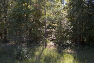 Tract 2 Coleman Chapel Rd, Bartow, GA 30413
