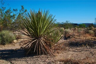 0 Latham Trail Unit JT23166943, Joshua Tree, CA 92252