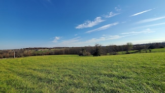 6474 S Barrel Blvd Unit Lot 17, Republic, MO 65738
