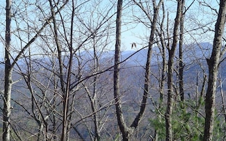 lot 18 Hidden Springs Dr, Brasstown, NC 28902