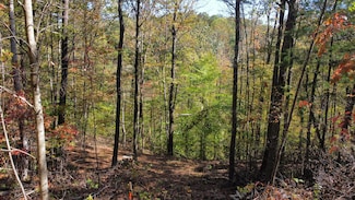Lot #51 the Reserve at Cliffview, Zoe, KY 41397