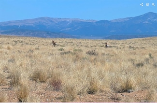 0 Lot 4 Grandby Rd, Blanca, CO 81123