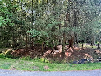 17 Mink Springs Ct, Butler Township, PA 18222