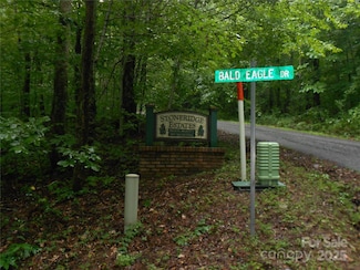 TBD Bald Eagle Dr, Hendersonville, NC 28792