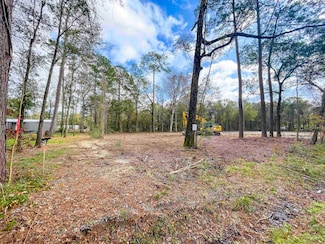 1594 Antler St Unit lot 1, Vidor, TX 77662