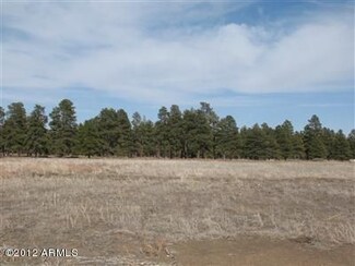 11675 N Onika Ln Unit 2, Flagstaff, AZ 86004