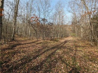 00 Wolf Run Rd, Campbell, NY 14821