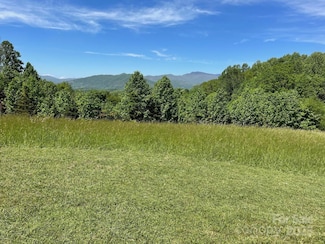 999 Chestnut Mountain Dr, Green Mountain, NC 28740