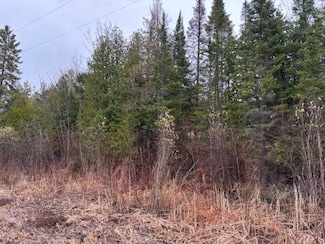 TBD Banwell Rd, Alanson, MI 49706