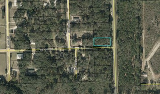 0 County Road 249, Jasper, FL 32052