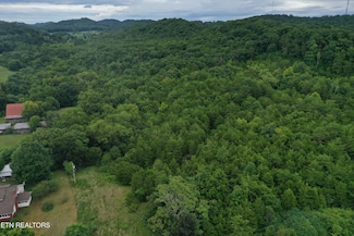 0 66 48 Acres Milldale Rd, Dandridge, TN 37725