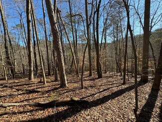 9770 Big Creek Rd, Ellijay, GA 30536