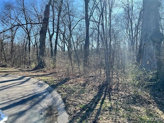 4 Acres Oak Ridge Pond Court Rd, Hannibal, MO 63401