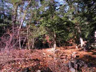 236 N Falls Rd N Unit Lot 2, Ghent, NY 12075