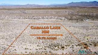 0 Tbd Unit 20251437, Caballo, NM 87931