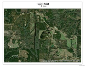 1 Highway 55, Dixons Mills, AL 36736