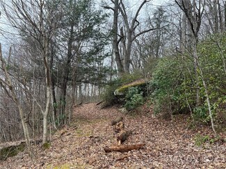 LOT 32 Grand Oaks Dr, Hendersonville, NC 28792