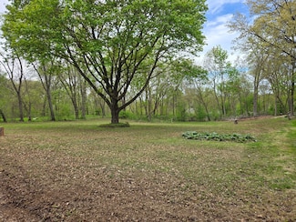 0 Riverview Dr, South Elgin, IL 60177