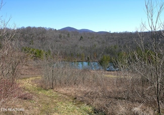 249 Arthur McCormick Rd, Lancing, TN 37770