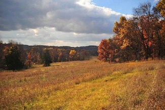 3850 Limmex Hill Rd, Avoca, WI 53506