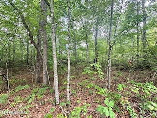 142 Mariners Dr, Crossville, TN 38558