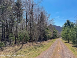 116 Sugar Loaf Trail, East Jewett, NY 12424