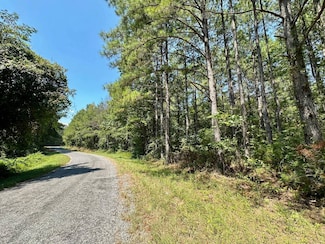 0 Scr119 Unit 11332496, Raleigh, MS 39153