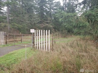 7740 Scatterview Ln SW, Rochester, WA 98579