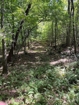 0 Georgia 120 Unit 7646686, Tallapoosa, GA 30176