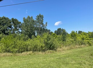 0 V L Hills Rd, Baroda, MI 49101