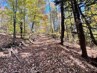 0 New York 34, Waverly, NY 14892