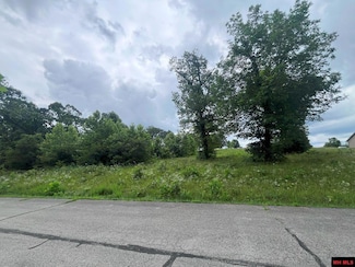 Lot 2 Silverthorne Cir, Logan Township, AR 72653