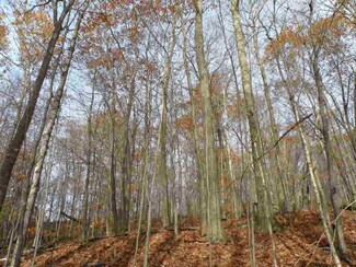0 Beanville Rd, Vershire, VT 05079