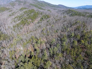 Tract 4 Wilhite Rd, Pittman Center, TN 37876