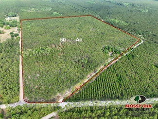 0 Ralph Davis Rd, Folkston, GA 31537