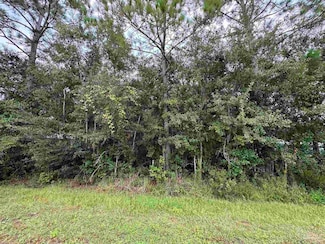 0 Boykin Blvd Unit 653407, Lillian, AL 36549