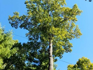 ON Big Doe Rd, Lake Tomahawk, WI 54539
