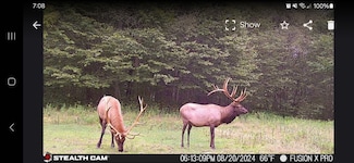WP Lot 001 Rear Twp 782, Morris, PA 16938