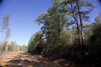 28125 Lot 31 Fm 705, Broaddus, TX 75929